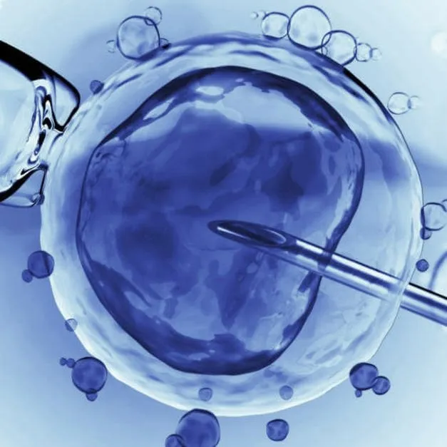 In vitro – Kto zyskuje na programie i jakie są jego efekty?