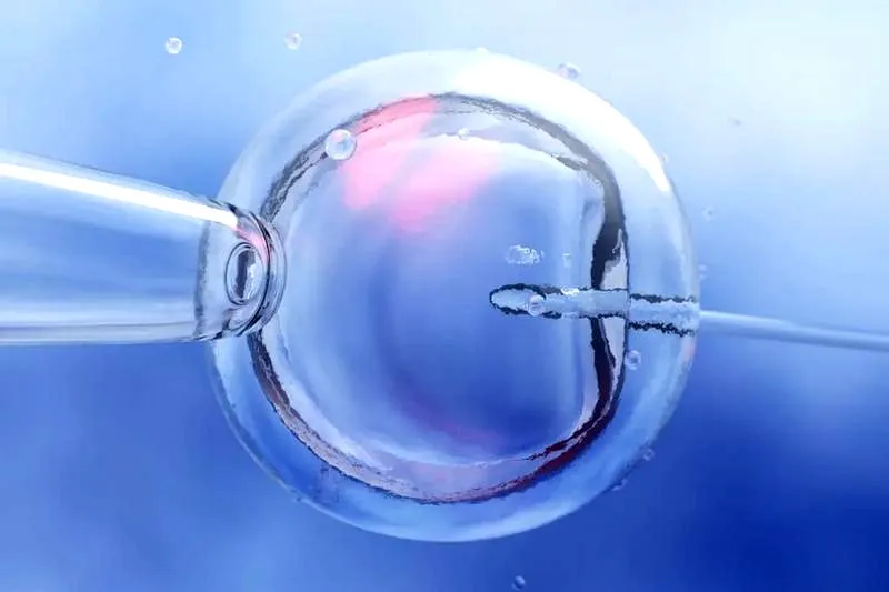 In vitro w Polsce 2050 - jak społeczeństwo ocenia zmiany i wyniki głosowania?