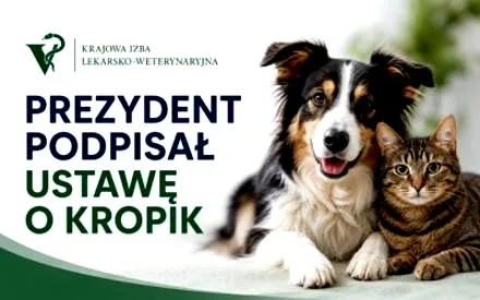 Obowiązkowe czipowanie i KROPiK - nowe wyzwania dla właścicieli zwierząt