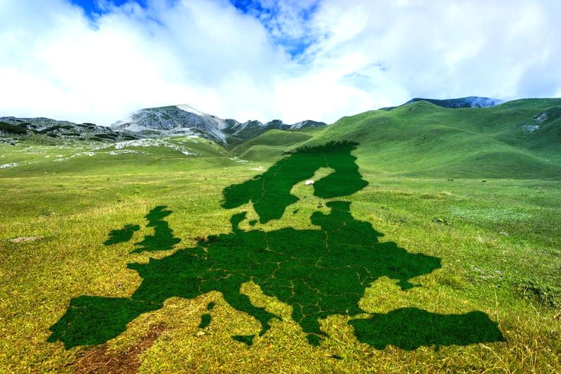 Polska 2050 a Zielony Ład: inwestycje zamiast nowych opłat?