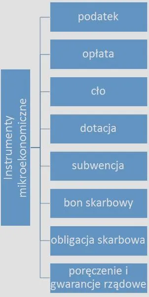 Cele polityki budżetowej