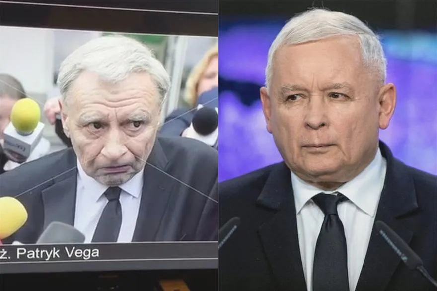 Polityka Vegi