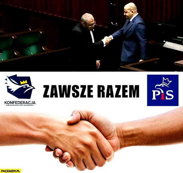 Program gospodarczy prawicy