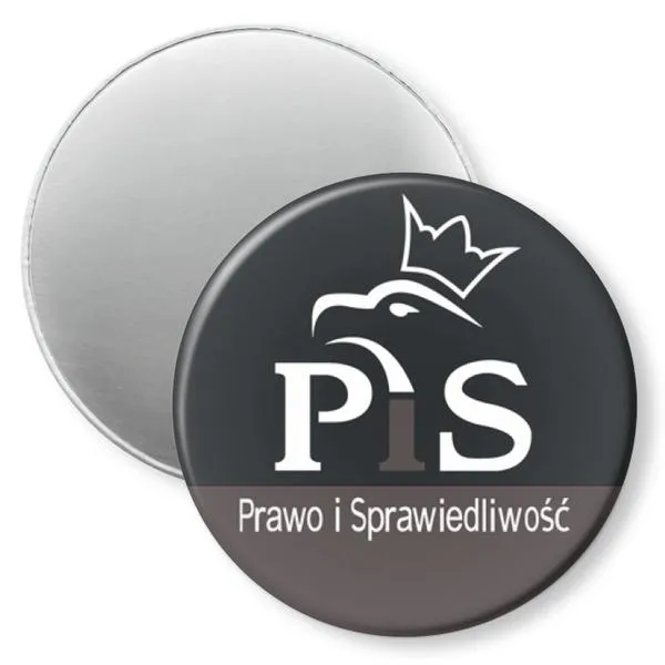 Przyczyny sukcesu partii