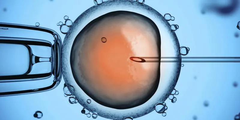 Społeczne postawy wobec in vitro