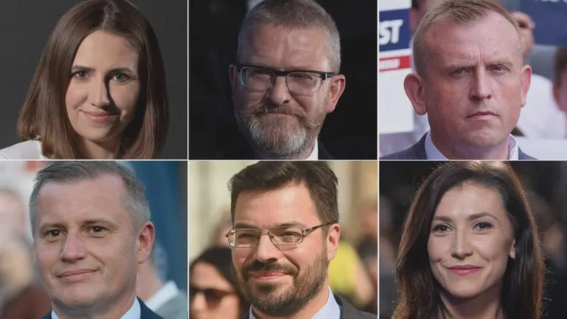Wpływ na politykę europejską