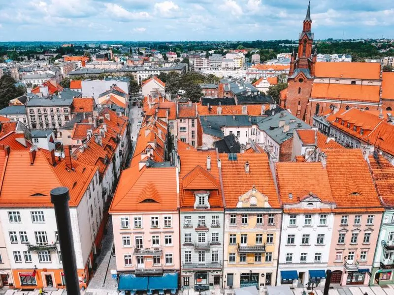 Wybory w Kaliszu