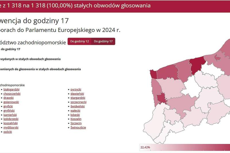 Wybory w Szczecinie