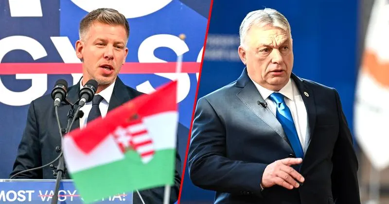 Zasady głosowania